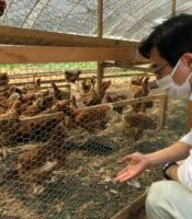 農福連携の鶏卵ファーム視察